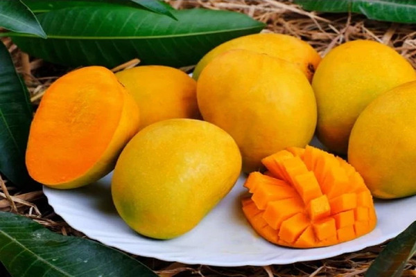 Things to Know to Maximize the Amazing Benefits of Mango